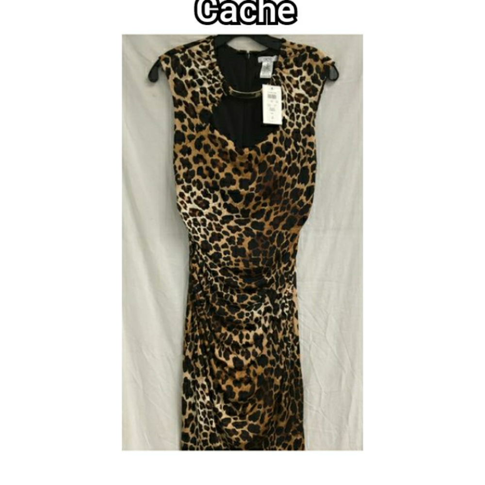 Cache animal print size 10 dress